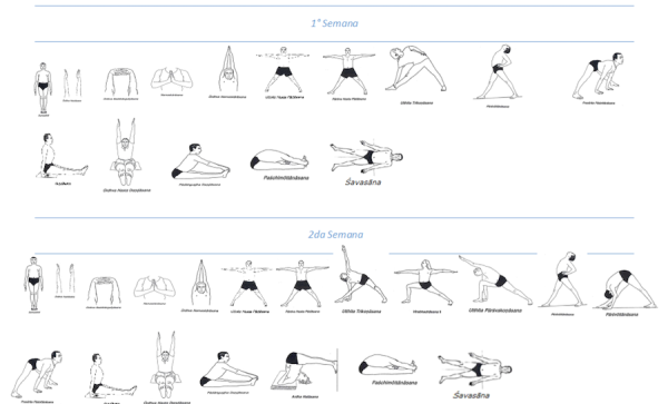 Yoga en acción para principiantes IMPRESO - Imagen 2